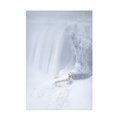 Trademark Fine Art Larry Deng 'Niagara Falls In Winter' Canvas Art, 12x19 1X14574-C1219GG